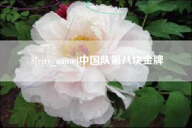 香河中国队第八块金牌