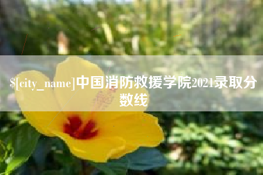 香河中国消防救援学院2021录取分数线