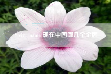 香河现在中国哪几个金牌