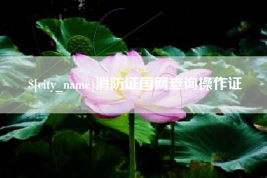 香河消防证国网查询操作证
