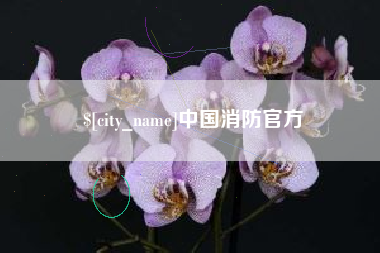 香河中国消防官方