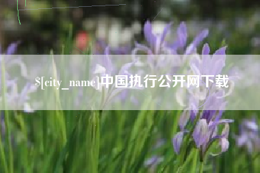 香河中国执行公开网下载