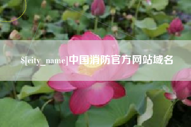 香河中国消防官方网站域名