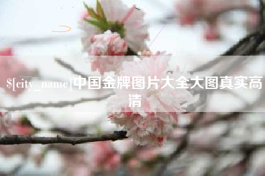 香河中国金牌图片大全大图真实高清