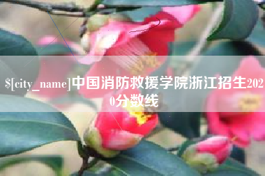 香河中国消防救援学院浙江招生2020分数线