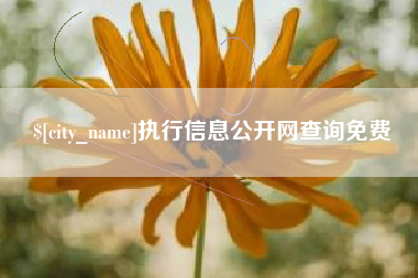 香河执行信息公开网查询免费