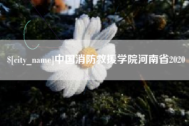 香河中国消防救援学院河南省2020